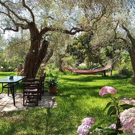 Hotel George Chrysi Ammoudia Phòng bức ảnh